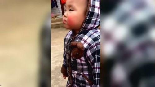 小鱼仙馆爆料视频大全最新,揭秘神秘仙界幕后故事