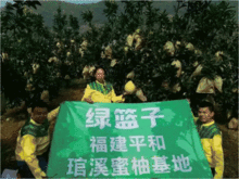 六安绿篮子爆料最新消息,揭秘事件背后惊人真相！”