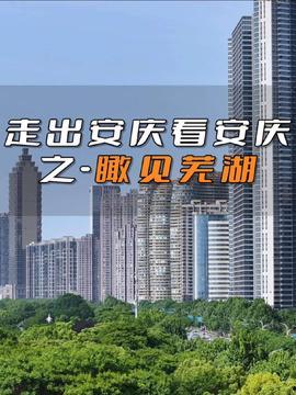 安庆头条最新爆料,揭秘最新爆料背后的惊人真相！
